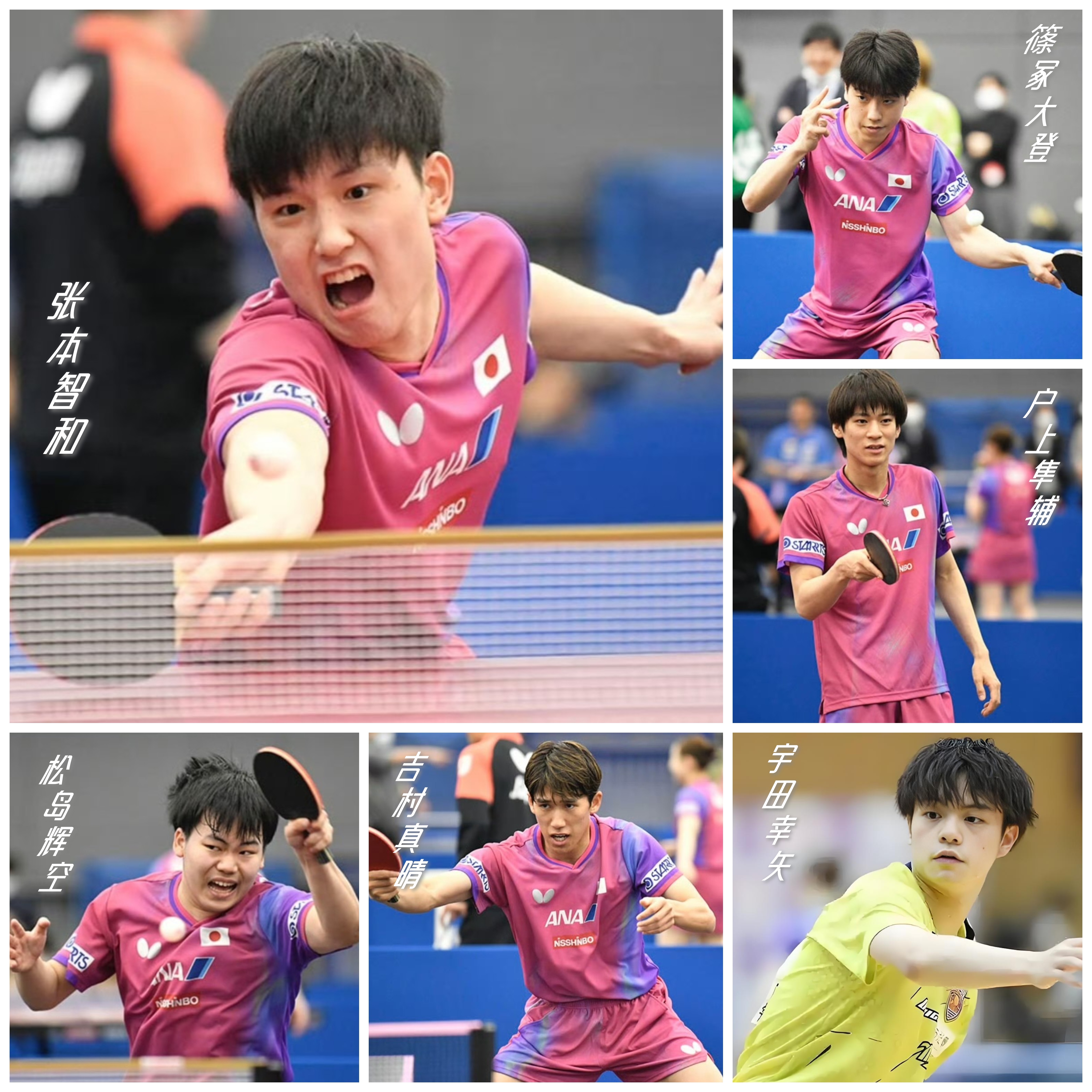 日本乒乓球队横扫英国乒乓球队，张本智和惊艳世界的简单介绍