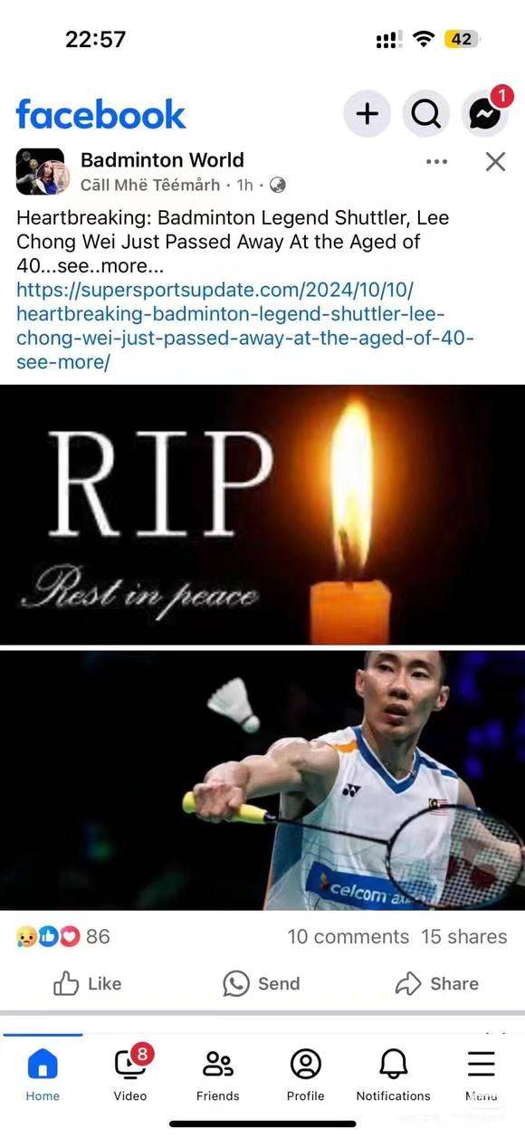 中国羽毛球队完胜日本羽毛球队，陶菲克绝境逆转的简单介绍