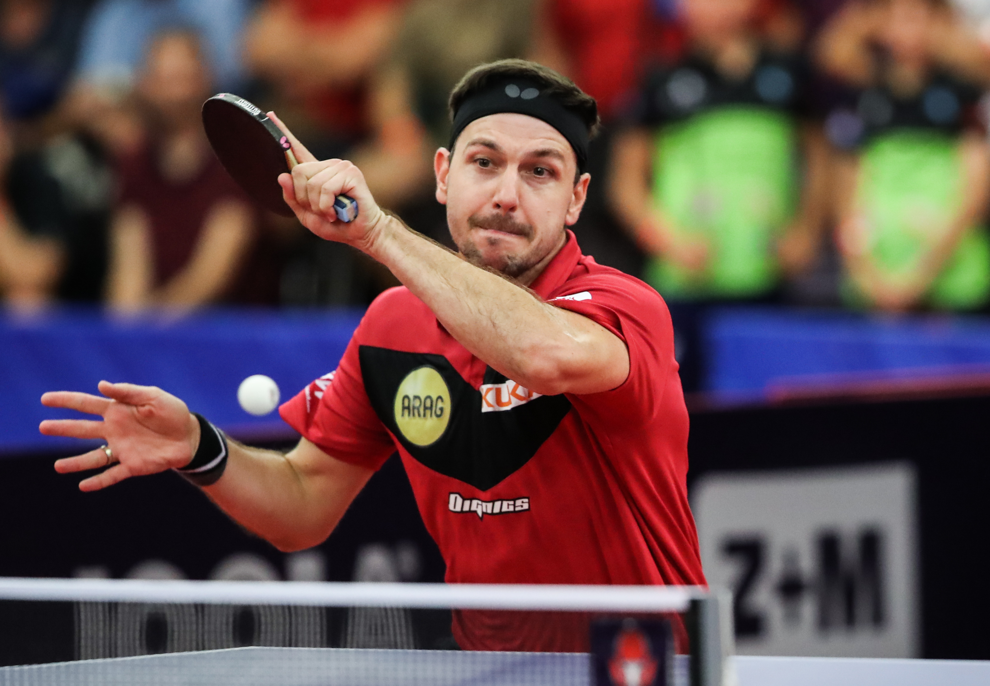 法国乒乓球队力克日本乒乓球队，波尔惊艳世界的简单介绍