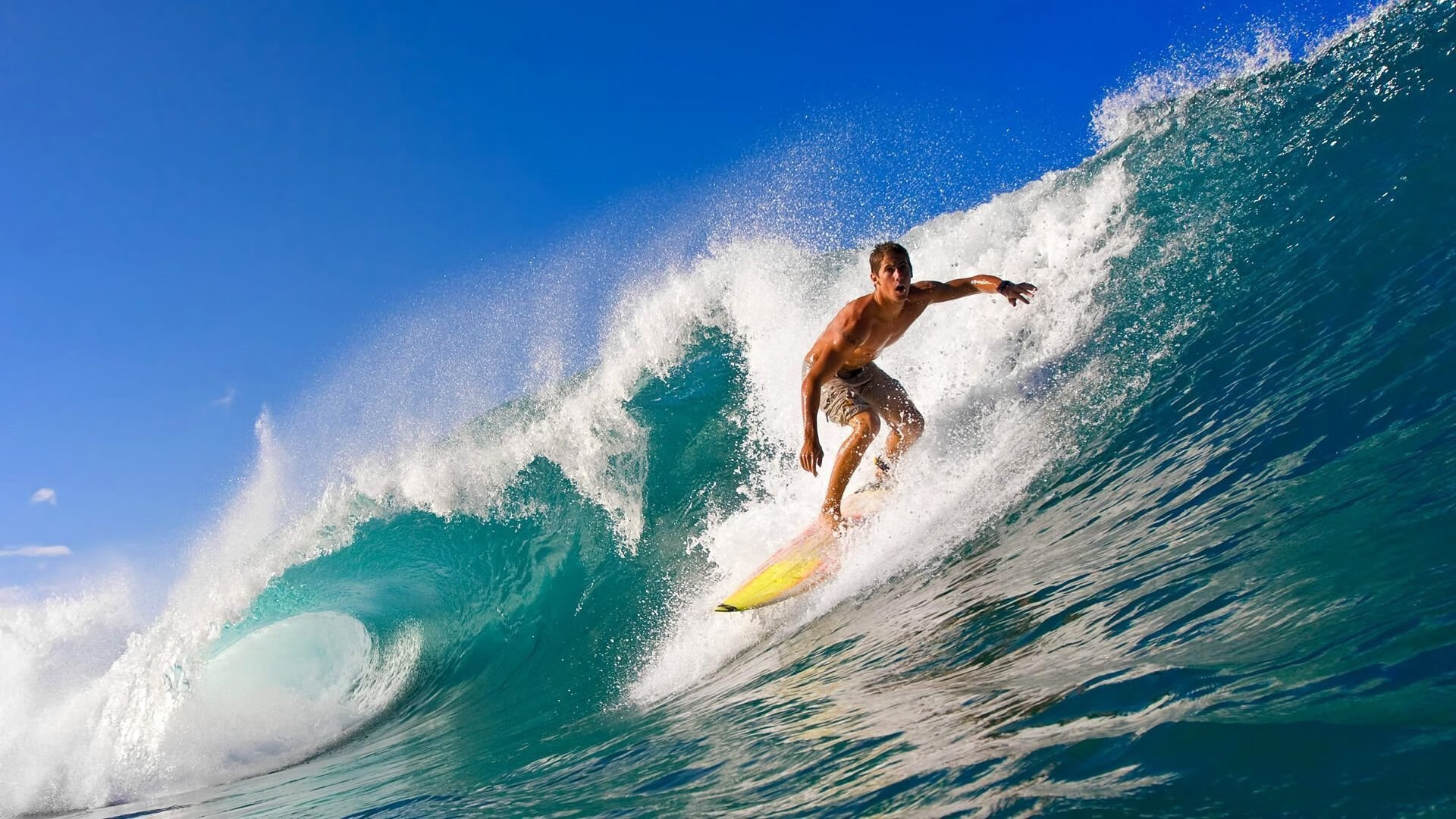 新王加冕，辛纳ATP总决赛横扫式胜利，如何重新定义网球王权？